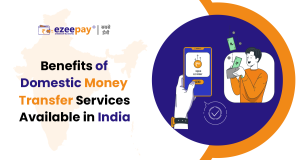 BENEFITS OF DOMESTIC MONEY TRANSFER SERVICE AVAILABLE IN INDIA